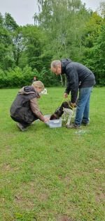 Nasenarbeit mit den Welpen und Junghunden 2019